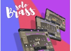 Audio Modeling SWAM Solo Brass bundle